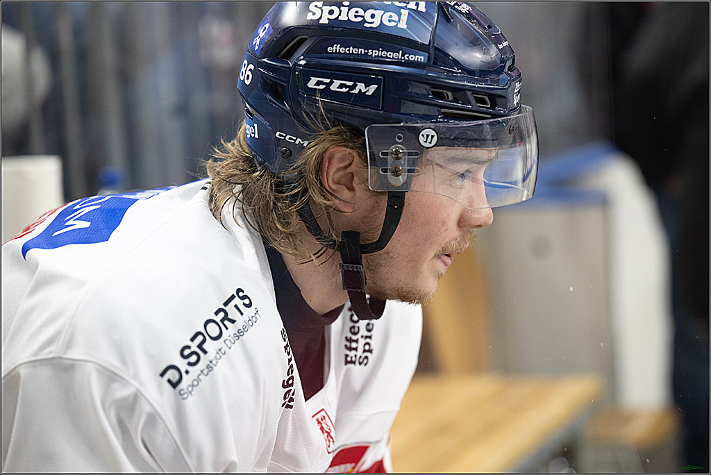 PENNY DEL; Koelner Haie-Duesseldorfer EG ; Koeln, 16.02.2025